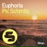 Pic Schmitz