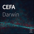 Darwin