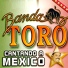 Banda Toro