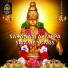 D Sarangapani