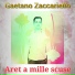 Gaetano Zaccariello