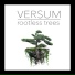 Versum
