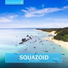 Squazoid