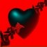 Amine Haddad