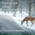 Eryon Stocker