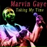 Marvin Gaye