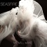 Seafire