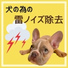 犬猫ヘルパー