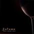Club Bossa Lounge Players, Afterhour Chillout