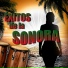 Sonora Camarena