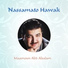 Maamoun Abd Alsalam