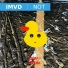 iMVD