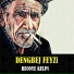 Dengbej Feyzi