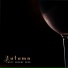Club Bossa Lounge Players, Afterhour Chillout
