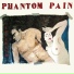 Phantom Pain