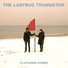 The Ladybug Transistor