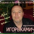 Игорь Камич