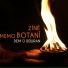 Zînê Botanî, Memo Botanî