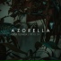 Azorella