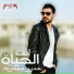 Amr Mahmoud