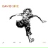David Sire feat. Fred Bouchain