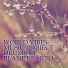 World Vibes Music Project