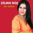 Zîlan Roj