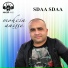 Mohsen Anis