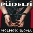 Pudelsi