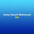 Samy Hanafi Mahmoud