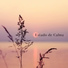 Instrumental Jazz Music Ambient