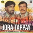 Shehenshah Bacha, Gulzar Alam
