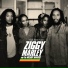 Ziggy Marley & The Melody Makers