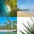 Tropical Christmas Background Music