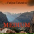 Felipe Tetzeka