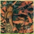 Ryane