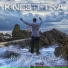 Kinestetika