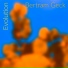 Bertram Geck