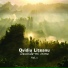 Ovidiu Liteanu