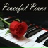 The Peaceful Pianist