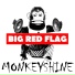 Big Red Flag