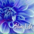 Slow Life Music Specialist