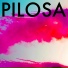 Pilosa