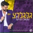 נתנאל פורטל
