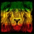 Don Phenomeno