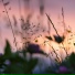 Nature Recordings, Study Power, Rain Sounds