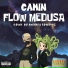 Camin
