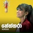 Hana Shafa