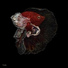 Jam feat. Lary Kidd, Snail Kid