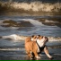 Calm Doggy, Pet Care Club, Sleeping Music For Dogs